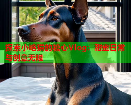 探索小晗猫的糖心Vlog：甜蜜日常与创意无限  第2张